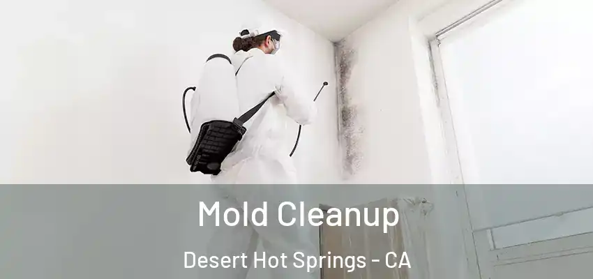  Mold Cleanup Desert Hot Springs - CA