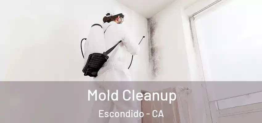 Mold Cleanup Escondido - CA