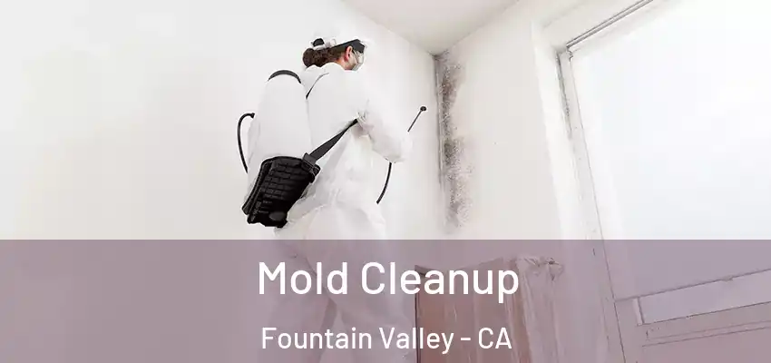  Mold Cleanup Fountain Valley - CA