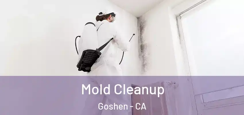  Mold Cleanup Goshen - CA