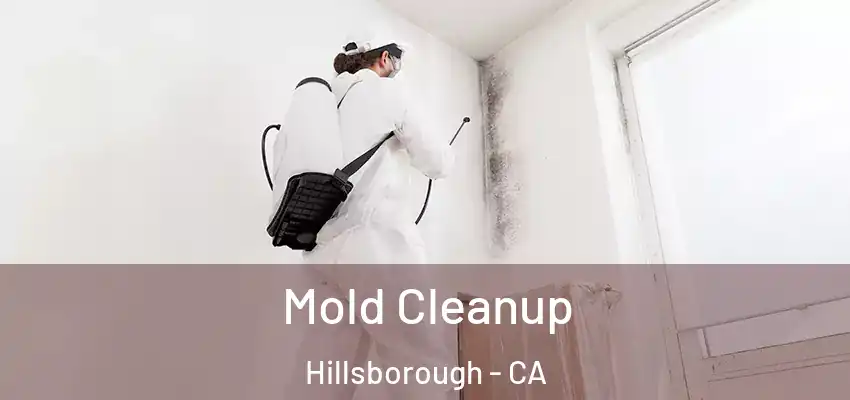 Mold Cleanup Hillsborough - CA