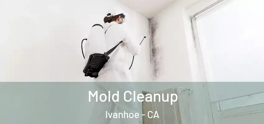  Mold Cleanup Ivanhoe - CA