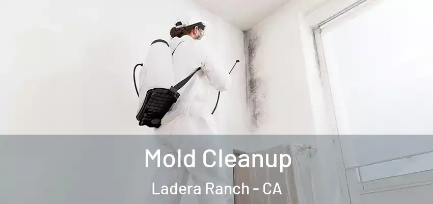  Mold Cleanup Ladera Ranch - CA