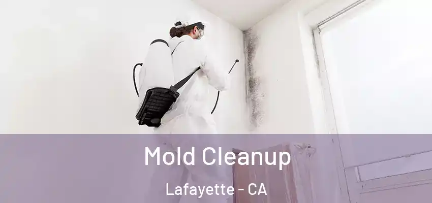  Mold Cleanup Lafayette - CA