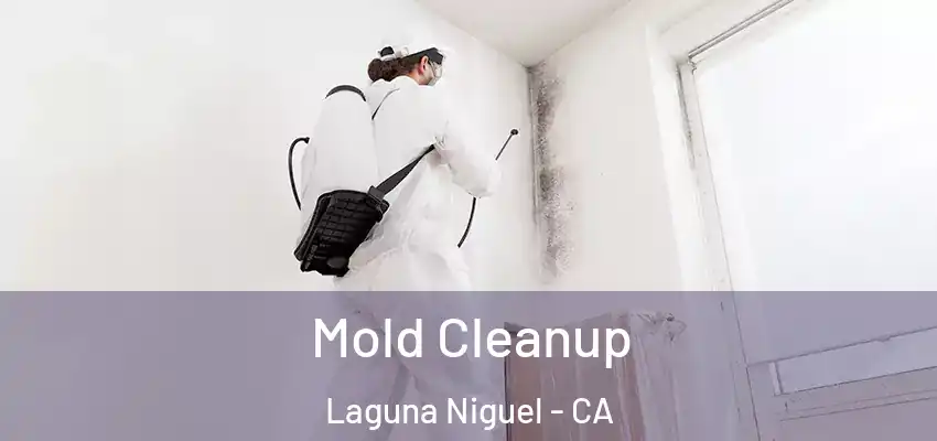  Mold Cleanup Laguna Niguel - CA