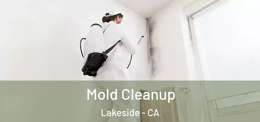  Mold Cleanup Lakeside - CA