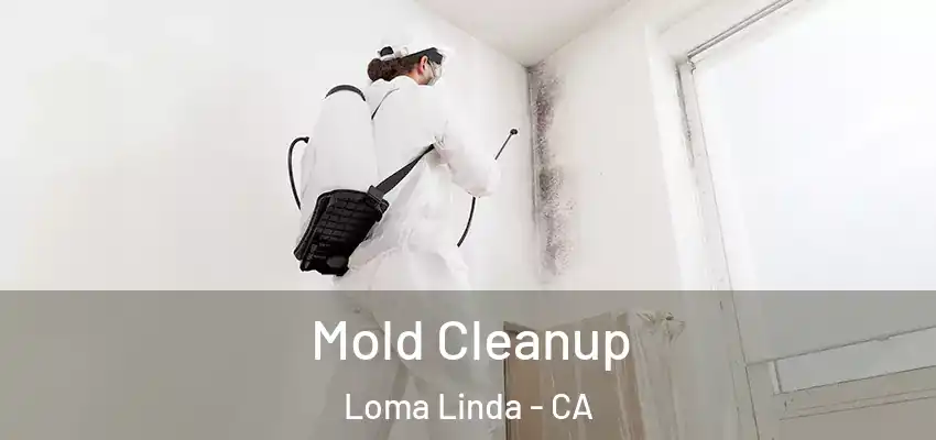  Mold Cleanup Loma Linda - CA