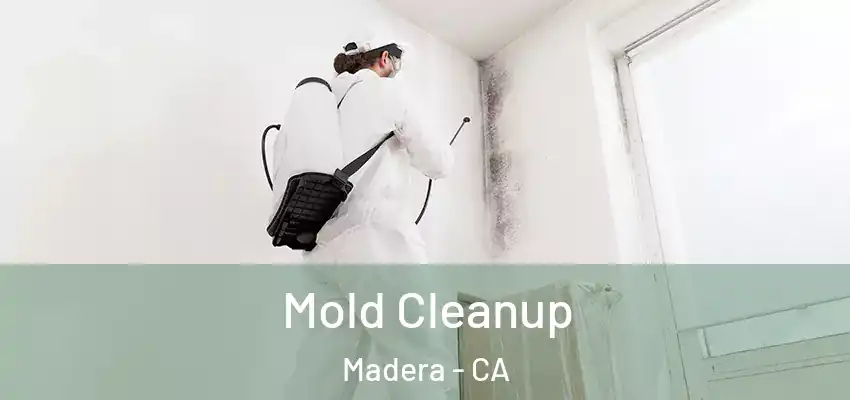  Mold Cleanup Madera - CA