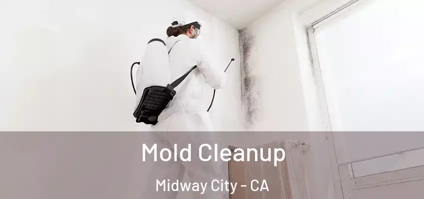  Mold Cleanup Midway City - CA