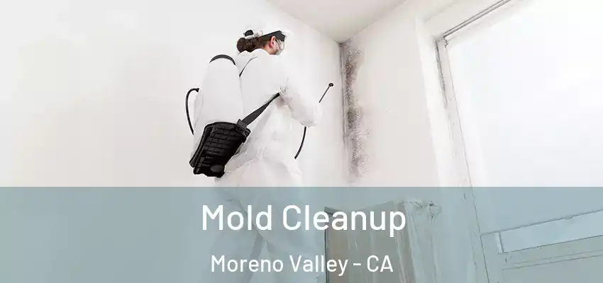 Mold Cleanup Moreno Valley - CA
