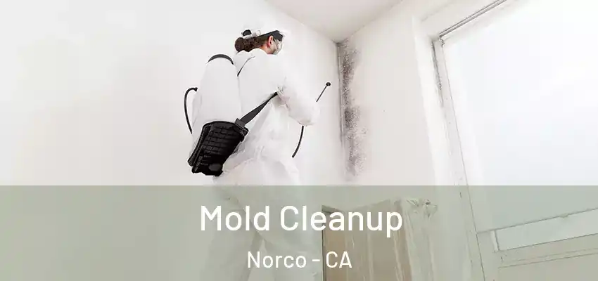 Mold Cleanup Norco - CA