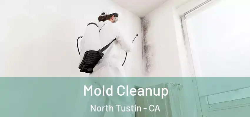  Mold Cleanup North Tustin - CA