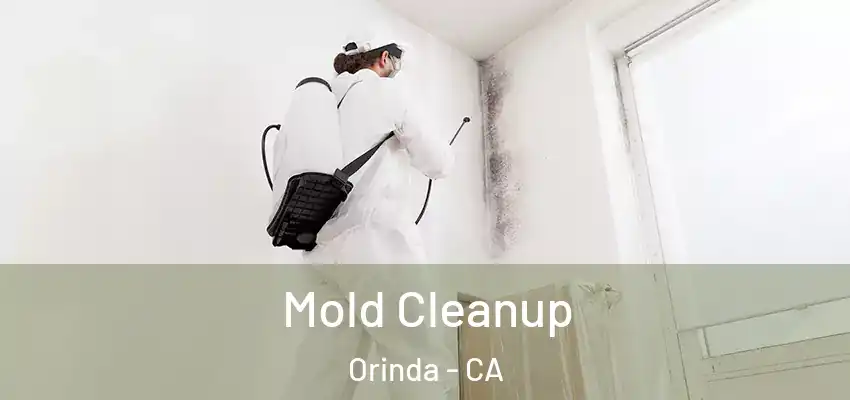 Mold Cleanup Orinda - CA