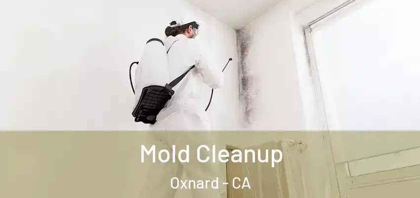  Mold Cleanup Oxnard - CA