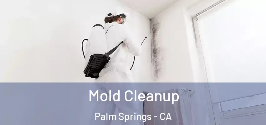  Mold Cleanup Palm Springs - CA