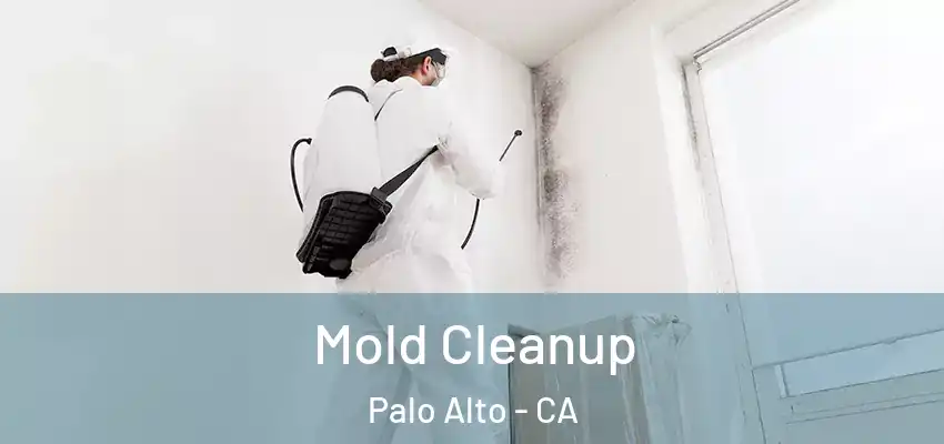  Mold Cleanup Palo Alto - CA