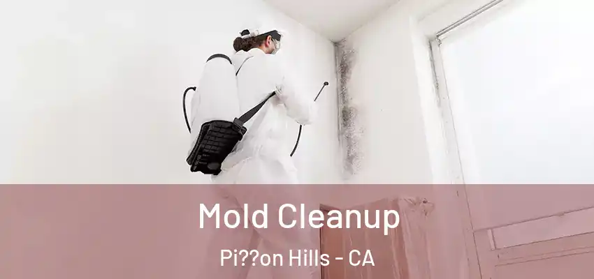  Mold Cleanup Pi??on Hills - CA