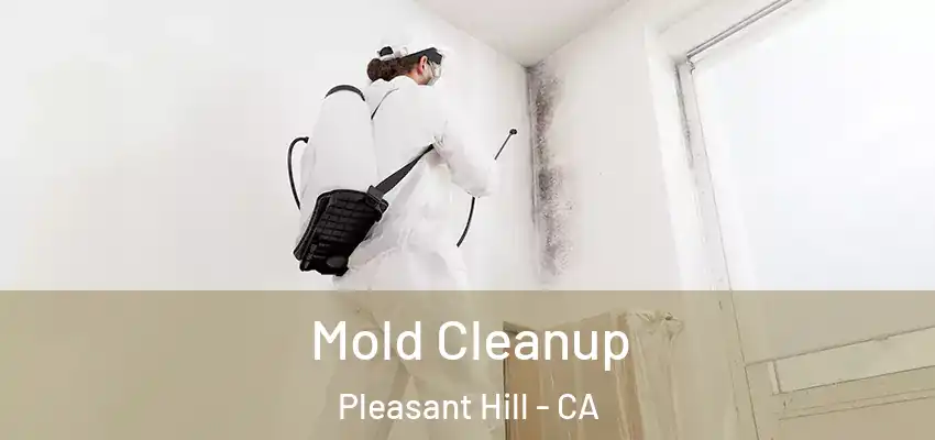 Mold Cleanup Pleasant Hill - CA