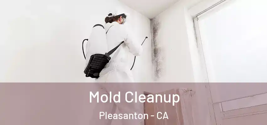  Mold Cleanup Pleasanton - CA