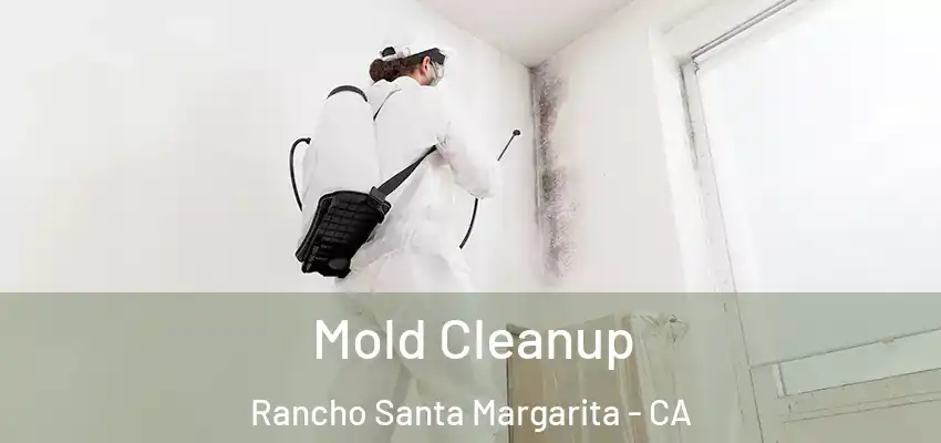  Mold Cleanup Rancho Santa Margarita - CA