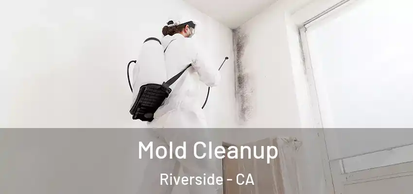 Mold Cleanup Riverside - CA