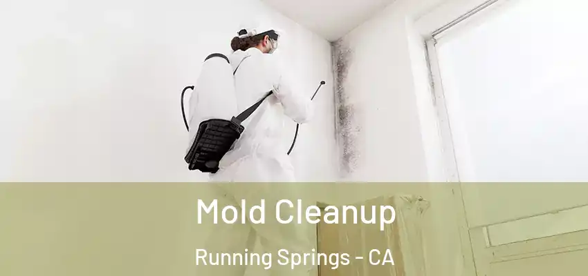 Mold Cleanup Running Springs - CA