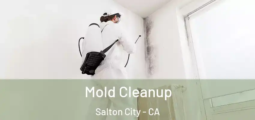  Mold Cleanup Salton City - CA