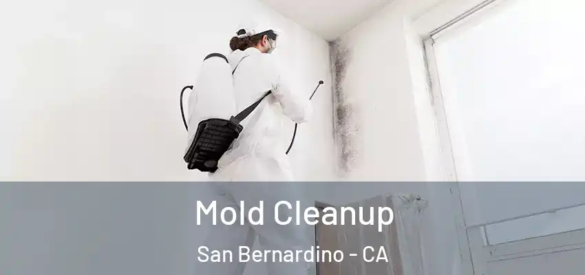 Mold Cleanup San Bernardino - CA