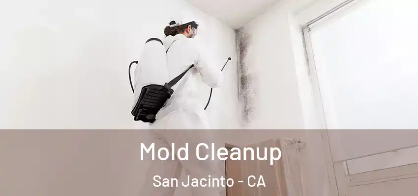  Mold Cleanup San Jacinto - CA