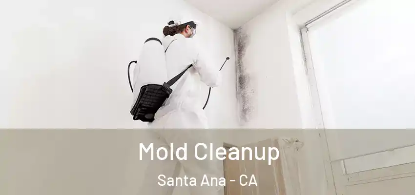 Mold Cleanup Santa Ana - CA