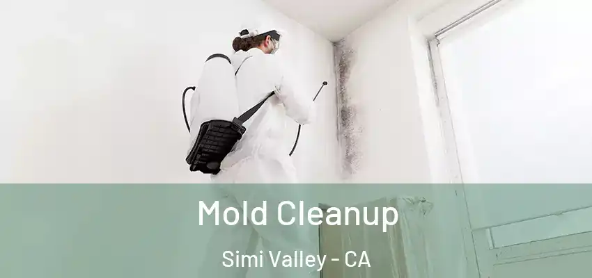  Mold Cleanup Simi Valley - CA