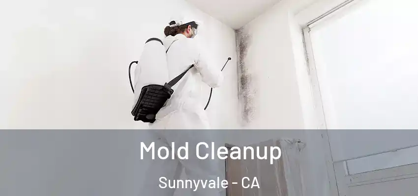  Mold Cleanup Sunnyvale - CA