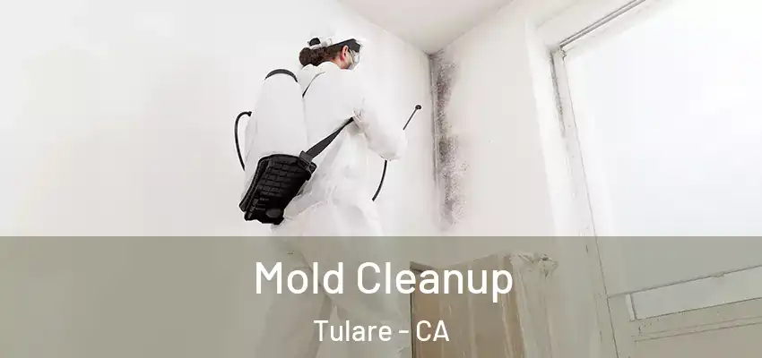  Mold Cleanup Tulare - CA