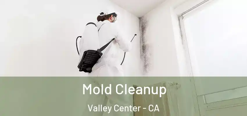 Mold Cleanup Valley Center - CA