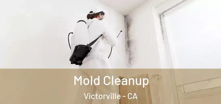  Mold Cleanup Victorville - CA
