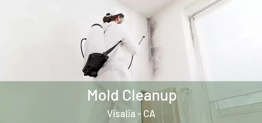  Mold Cleanup Visalia - CA