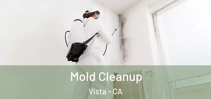  Mold Cleanup Vista - CA