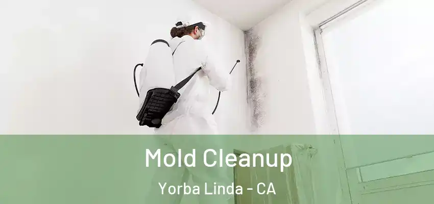 Mold Cleanup Yorba Linda - CA