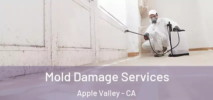  Mold Damage Services Apple Valley - CA