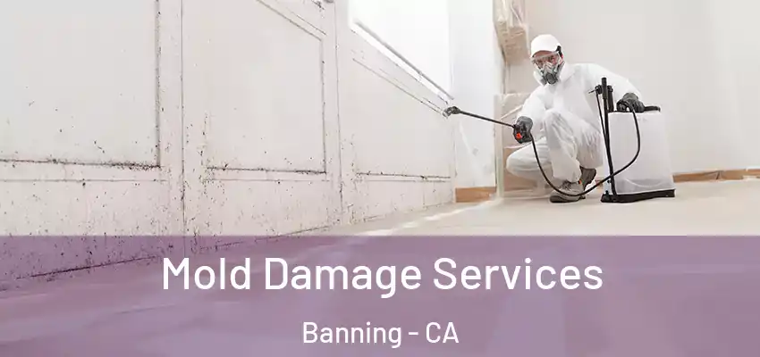 Mold Damage Services Banning - CA