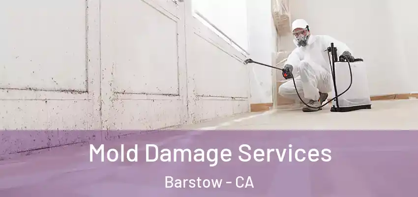  Mold Damage Services Barstow - CA