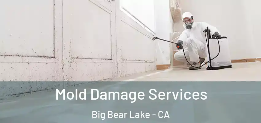  Mold Damage Services Big Bear Lake - CA