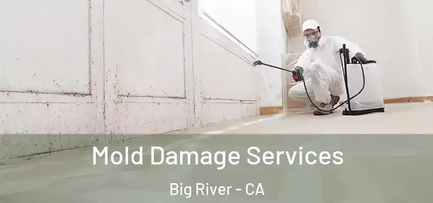 Mold Damage Services Big River - CA