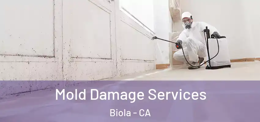 Mold Damage Services Biola - CA
