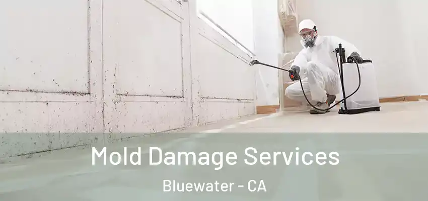 Mold Damage Services Bluewater - CA
