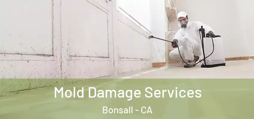  Mold Damage Services Bonsall - CA