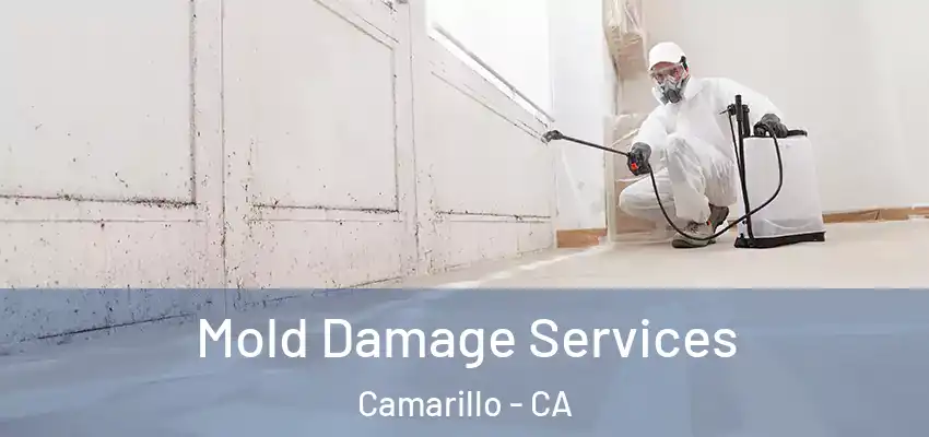 Mold Damage Services Camarillo - CA