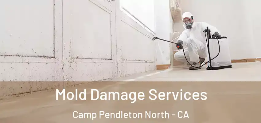  Mold Damage Services Camp Pendleton North - CA