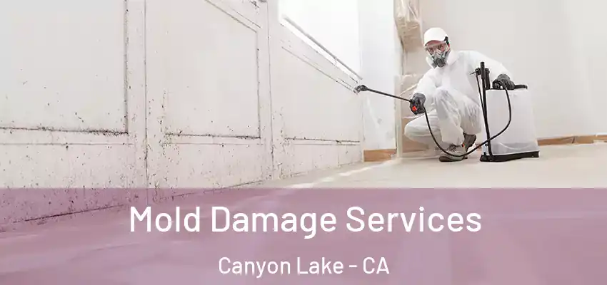  Mold Damage Services Canyon Lake - CA