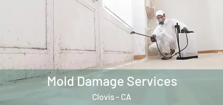  Mold Damage Services Clovis - CA